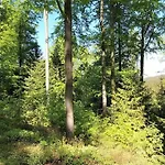 Apartment Gutsweg One - 3 *