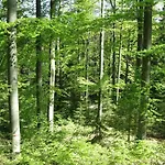 Gutsweg One - 3 Eibenstock