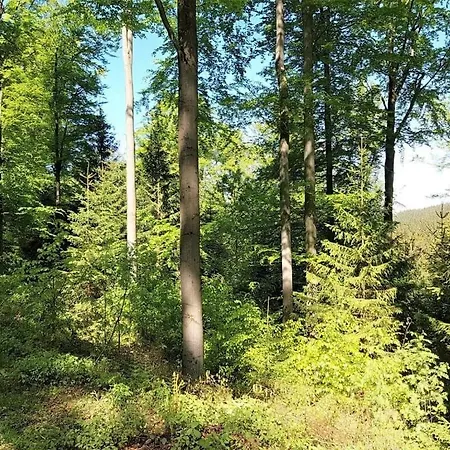 Appartamento Gutsweg One - 3 *