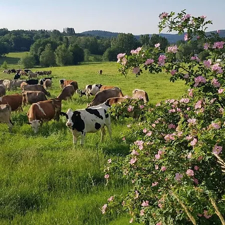 Gutsweg One - 3 * Eibenstock