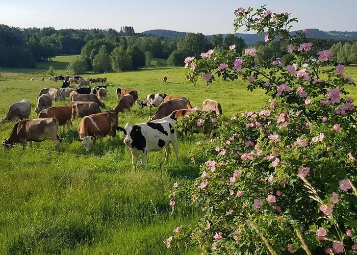 Gutsweg One - 3 * Eibenstock